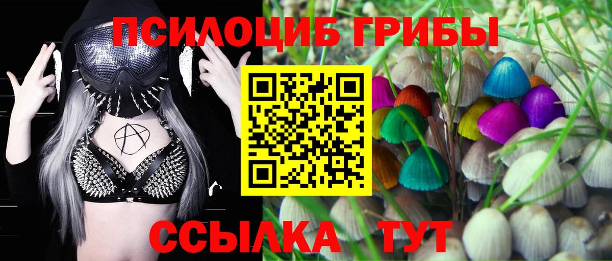Галлюциногенные грибы Magic Shrooms Ртищево